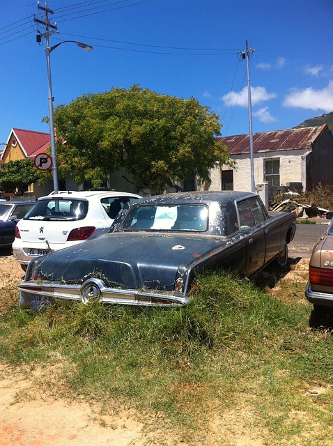 Junk Car 4