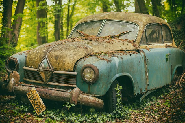 Junk Car 1
