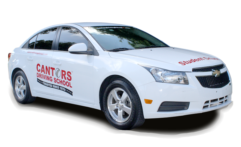 DriveAcademy Pro Logo