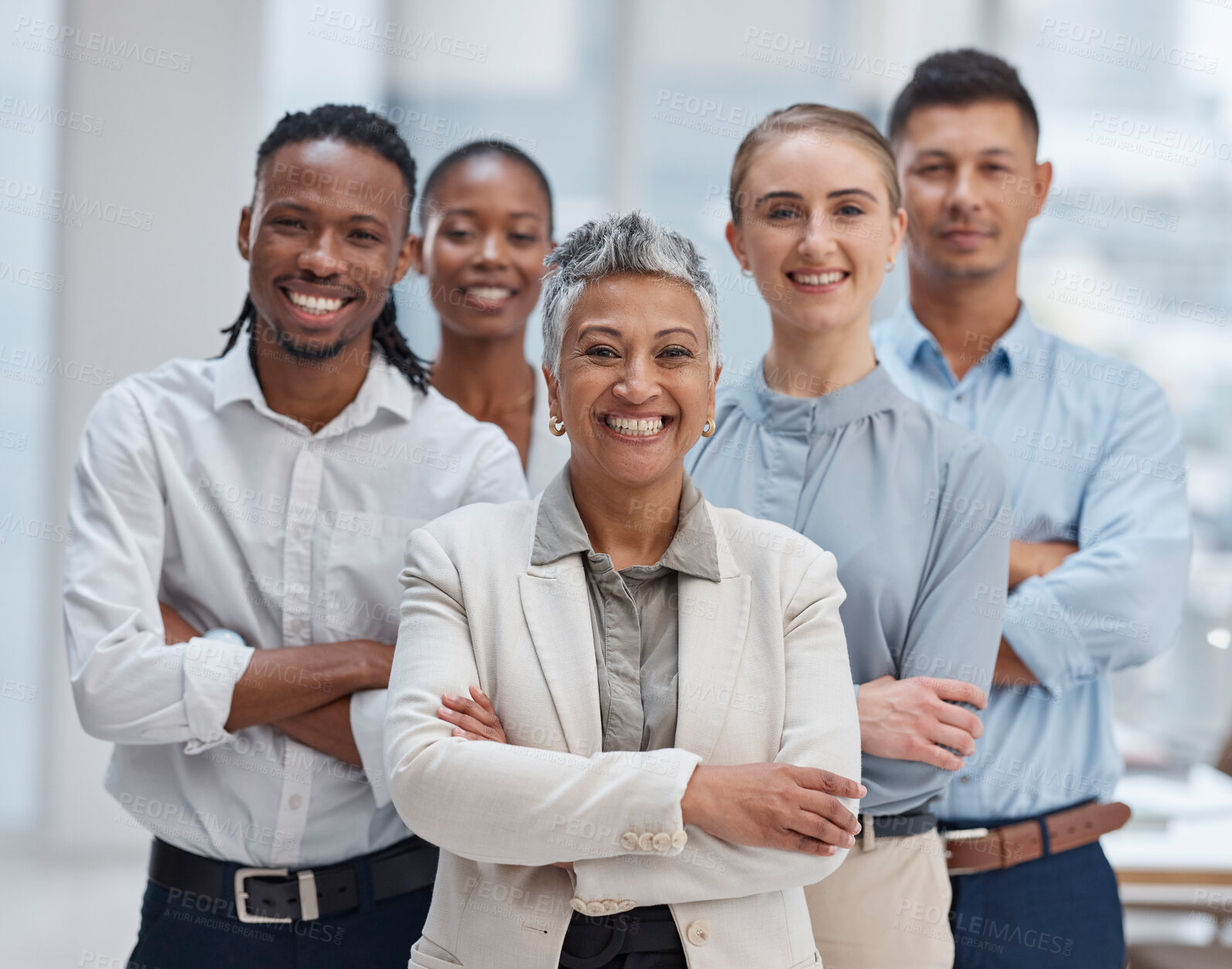 Equipo profesional de contadores