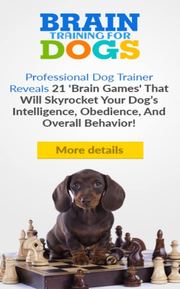 Brain Training for Dogs