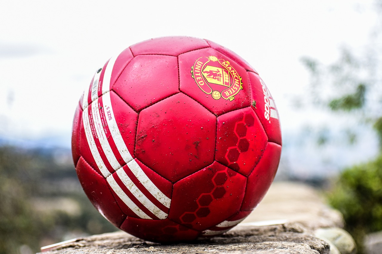 Professional Soccer Ball