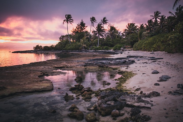 Sunset Paradise