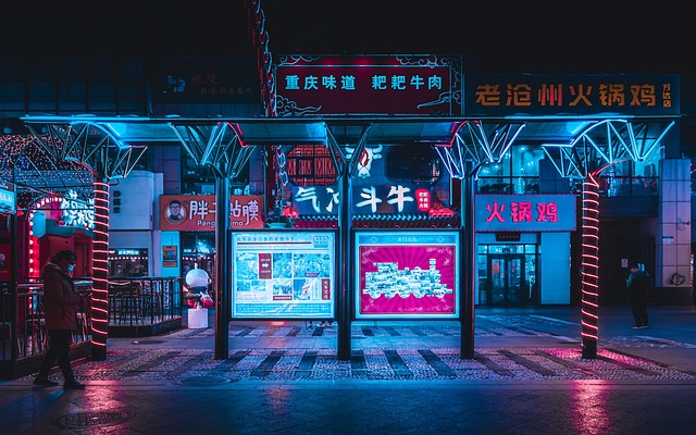 7구역 거리 장면