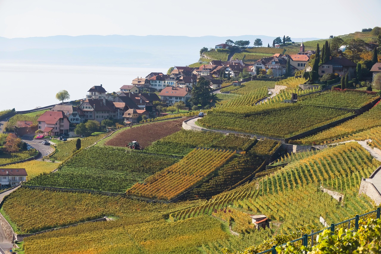 Paysage de Lavaux