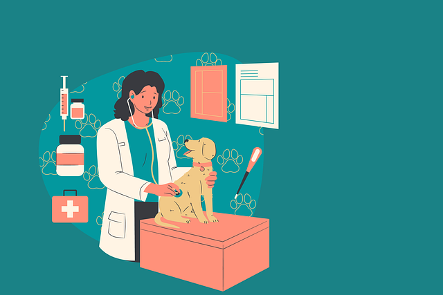 Veterinário cuidando de pets