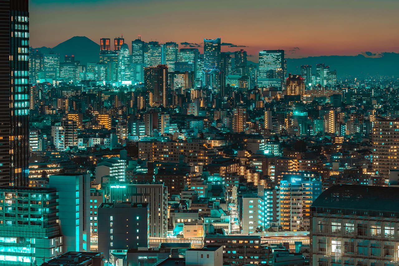 Tokyo Night Skyline