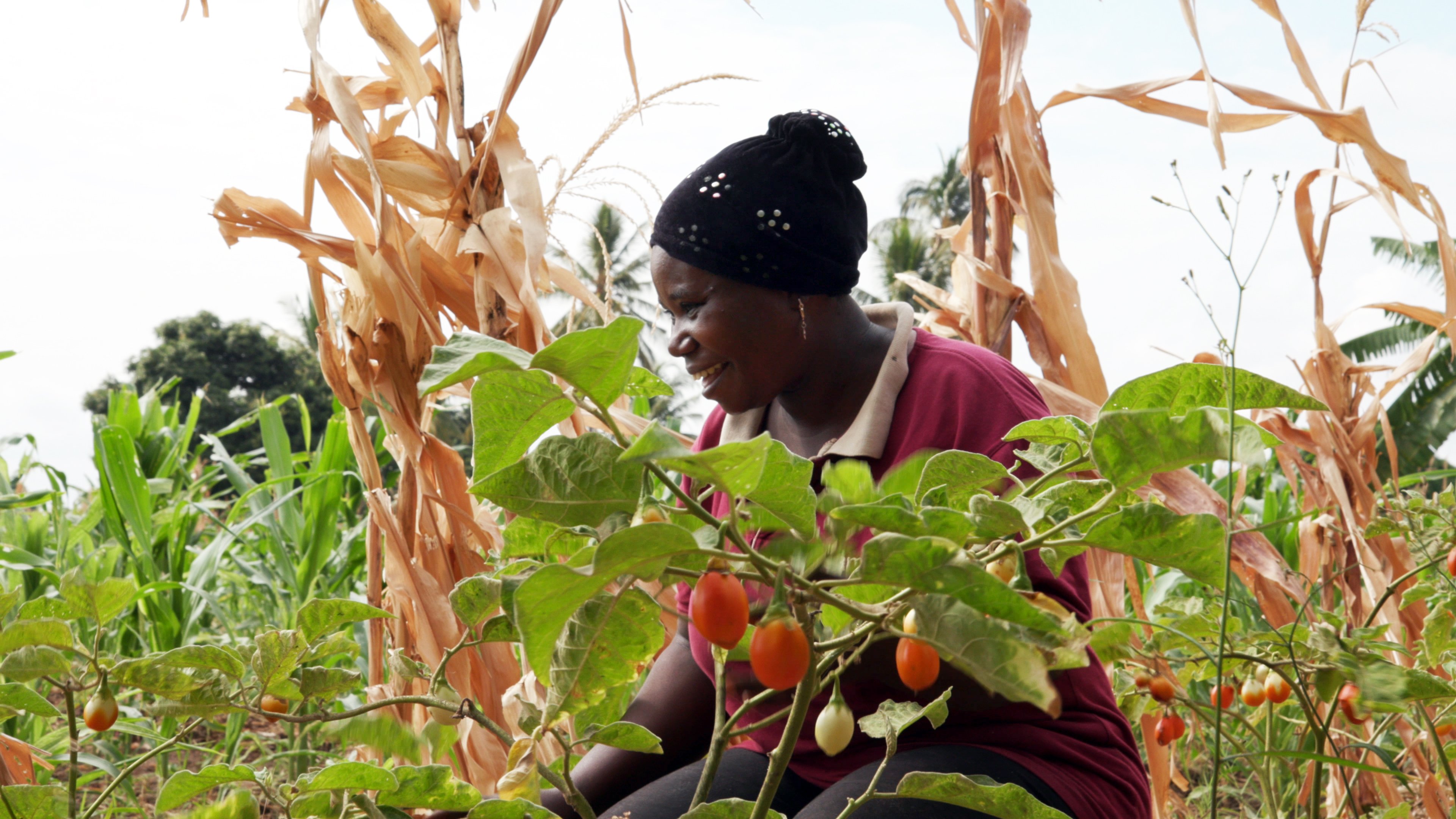 African woman farmer earning passive income from organic farming