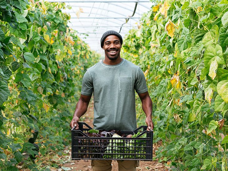African youth working in greenhouse and farm logistics