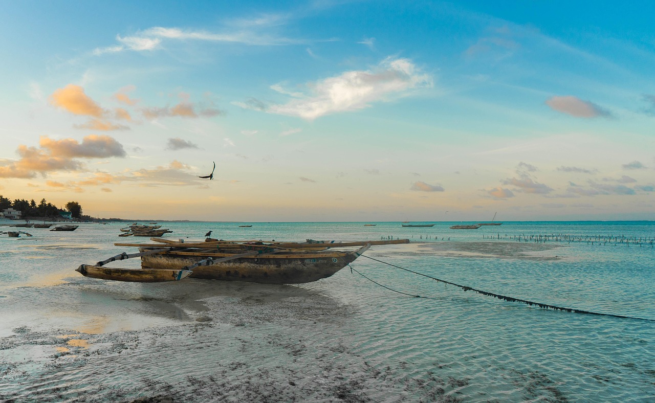 Zanzibar Beach Paradise