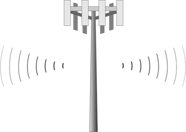 Telecommunications network tower and connectivity infrastructure