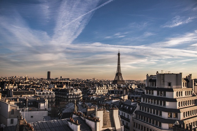 Paris rooftops with Eiffel Tower