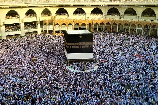 برامج العمرة